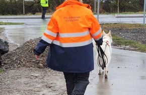 Feuerwehr Iserlohn: FW-MK: Hunde helfen bei Personensuche in Balve