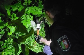 Kreispolizeibehörde Soest: POL-SO: Kaninchen ausgesetzt