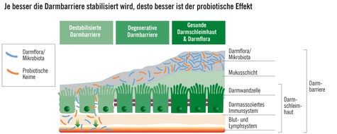 CGC Cramer-Gesundheits-Consulting GmbH: Mit Reizdarm-Patienten im Gespräch: / Reizdarm-Therapie soll individuelle Beschwerden lindern und gut verträglich sein