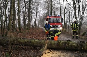 Freiwillige Feuerwehr Werne: FW-WRN: TH_1 - LZ1 - Waldweg zum Bahndamm - Baum auf Gehweg
