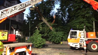 FW-F: Baum umgestürzt, ragt auf eine Kreuzung, droht Oberleitung abzureißen