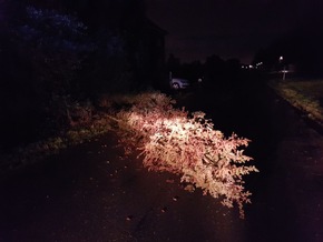 FW-WRN: TH_1 - Baum auf Fahrbahn