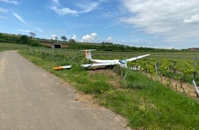 Polizeidirektion Neustadt/Weinstraße: POL-PDNW: PI Grünstadt - Notlandung eines Segelflugzeugs im Wingert