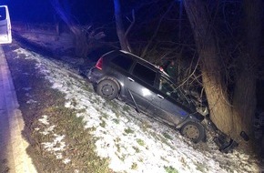 Polizeidirektion Landau: POL-PDLD: Ilbesheim - Autofahrer prallt gegen Baum