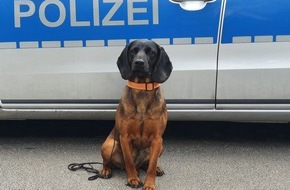 Polizei Hamburg: POL-HH: 220907-1. Aufmerksame Zeugin und Personenspürhund "Abby" überführen Autoknacker in Hamburg-Wellingsbüttel