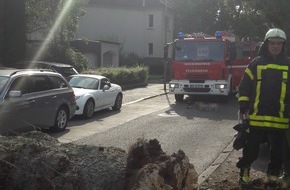 Feuerwehr Bochum: FW-BO: Umgestürzter Baum beschädigt PKW im Drosselweg