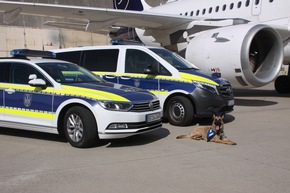 HZA-F: - Jahresbilanz 2024 des Hauptzollamtes Frankfurt am Main - Erfolgreich im Kampf gegen Kriminalität und Schmuggel, aber auch verlässlicher Partner der Wirtschaft