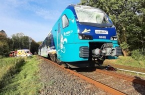 Bundespolizeiinspektion Flensburg: BPOL-FL: Hohenwestedt - Zug kollidiert mit Baum