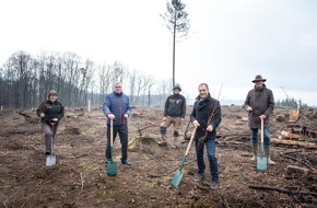 RheinEnergie AG: Zukunftswald – RheinEnergie und BELKAW pflanzen 60.000 Bäume