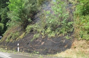 Polizeidirektion Landau: POL-PDLD: Flächenbrand neben der B 48 in Höhe der Anschlussstelle Hofstätten