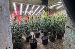 Polizeidirektion Göttingen: POL-GOE: Gemeinsame Pressemitteilung der Staatsanwaltschaft Detmold, der Kreispolizeibehörde Lippe und der PD Göttingen: Erfolgreicher Schlag gegen Rauschgiftbande - Bilanz des länderübergreifenden Einsatzes