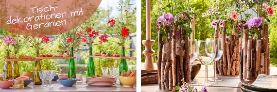 Pelargonium for Europe: Genuss trifft auf Blütenpracht: Sommerliche Tischdekorationen mit Geranien