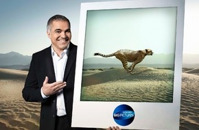 ProSieben: Eine Ultra-Schwimmerin, 320 Kilogramm Python und Aiman Abdallah: "Galileo Big Pictures: 50 unglaubliche Bilder"