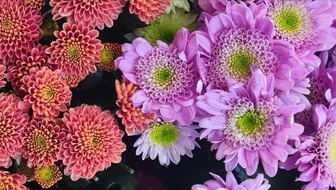 Global Nature Fund: Empfehlungen für Biodiversitäts-Kriterien in der Zierpflanzenproduktion