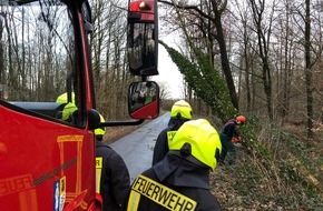 Freiwillige Feuerwehr Weeze: Feuerwehr Weeze: Drei Tage Sturmeinsätze im Gemeindegebiet Weeze