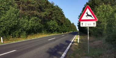 Schweizer Tierschutz STS: Medienmitteilung: Gefahr für Wildtiere - Sommerzeit und Paarungszeit erhöhen Risiko von Verkehrsunfällen