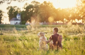 Zoetis Deutschland GmbH: September ist Schmerz-Awareness-Monat / Endlich schmerzfrei: 5 Dos & Don'ts, die Hunden mit Arthrose wirklich helfen