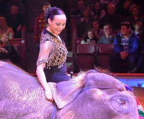 Der traditionelle Zirkus mit Wildtieren und der Erfolg von Hamburg