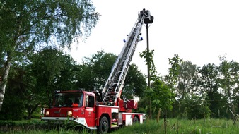 FW Celle: Celler Feuerwehr unterstützt Weißstorchbeauftragten - Jungstörche beringt