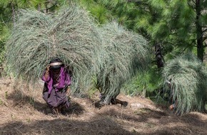 PRIMAVERA LIFE: PRIMAVERA Duft- & Studienreise ins Glücksland Bhutan: "Nachhaltigkeit zum Anfassen"