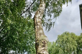 Freiwillige Feuerwehr Hünxe: FW Hünxe: Gefahr durch gespaltenen Baum - Feuerwehreinsatz in Bruckhausen