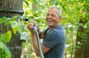 Québec Maple Syrup Producers (QMSP): Kanadas Produzenten melden exzellente Ahornernte / Sieben Millionen neue Zapfstellen geplant