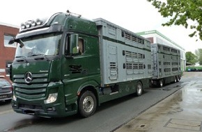 Polizeiinspektion Cuxhaven: POL-CUX: Knapp 60 Tiere zu viel auf dem Transporter - Massiver Verstoß gegen des Tiertransportrecht (Lichtbild in der Anlage)
