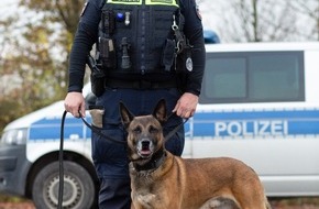 Polizeidirektion Göttingen: POL-GOE: Einblicke in den Polizeialltag eines Diensthundführers: Polizeidirektion Göttingen hat neuen Community Policer