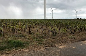 Polizeidirektion Worms: POL-PDWO: Worms - Fahrer flüchtet nach Unfall im Weinberg - Zeugen gesucht