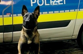 Polizei Hamburg: POL-HH: 230628-1. Schwerpunkteinsatz zur Bekämpfung der Drogenkriminalität im Dulsberg-Park