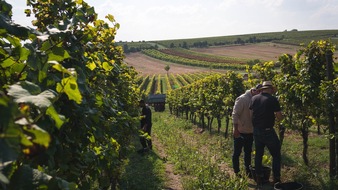 Zwölberich GmbH: Weingut Zwölberich startet mit neuem Team und Neuausrichtung seiner Marke in die Zukunft