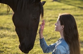 Constantin Film: Constantin Film- und JB Pictures-Produktion BLACK BEAUTY exklusiv bei Disney+