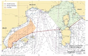 OceanCare: EL MEDITERRÁNEO NOROCCIDENTAL DECLARADO ZONA DE PROTECCIÓN DE LAS BALLENAS AMENAZADAS POR LAS COLISIONES CON BUQUES