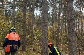 Feuerwehr Samtgemeinde Wathlingen: FW Wathlingen: Motorkettensägenausbildung in der Samtgemeinde Wathlingen - 11 Einsatzkräfte absolvieren das Modul B
