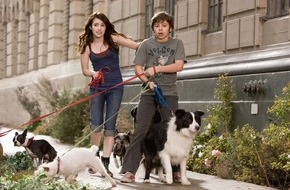 SAT.1: Ein Herz für Tiere: "Das Hundehotel" in SAT.1 (mit Bild)