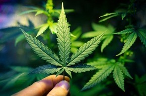 Europäisches Verbraucherzentrum Deutschland: Cannabis in der EU weithin illegal. Bei Verstößen drohen hohe Strafen