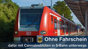 Bundespolizeidirektion München: Bundespolizeidirektion München: Ohne Fahrschein aber mit Cannabisblüten unterwegs: 21-Jähriger bei Fluchtversuch festgenommen