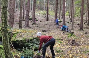Bergwaldprojekt e.V.: Fast 20 Freiwillige mit dem Bergwaldprojekt in der Nationalparkregion Sächsische Schweiz im Einsatz für naturnahe Wälder