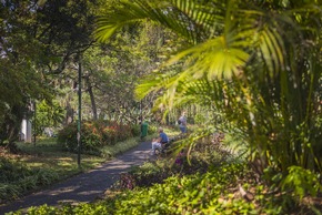 Naturschönheiten auf Madeira: Eine Reise durch die idyllischen Gärten der Insel