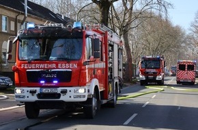 Feuerwehr Essen: FW-E: Brand einer Gartenlaube im Hinterhof - Feuerwehr verhindert Brandausbreitung