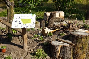 Berliner Friedhof 🪦: Stiftung für Mensch und Umwelt setzt neue Impulse zur Förderung der Biodiversität 🌿 🌼 🐝