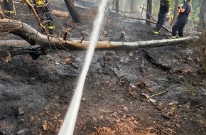 Freiwillige Feuerwehr Stadt Nideggen: FW Nideggen: Ausgedehnter Waldbrand im Nationalpark bei Schmidt