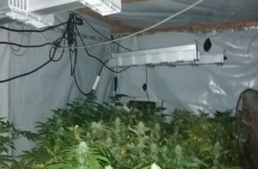 Polizeiinspektion Lüneburg/Lüchow-Dannenberg/Uelzen: POL-LG: ++ Ermittler "heben" professionelle Indoor-Plantage aus ++ Pflanzen, Haschisch und Kokain sichergestellt ++ Ermittlungen dauern an ++