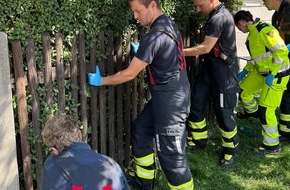 Feuerwehr München: FW-M: Älterer Herr zwischen Hecke und Gartenzaun eingeklemmt (Pasing)