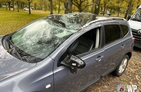 Polizeidirektion Kaiserslautern: POL-PDKL: Baum stürzt auf Fahrzeugdach