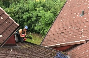 Industrie Kletterer Hamburg: Hamburg startet in den Frühling: Arbeiten von den Bäumen bis zum Dach