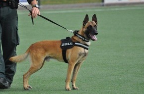 Generalzolldirektion: Zollhunde im Test/Leistungsüberprüfung für Zollhunde in Pirna