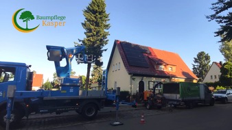 Baumpflege Kasper GmbH: Optionen zur Verwertung von Baumteilen nach der Abtragung