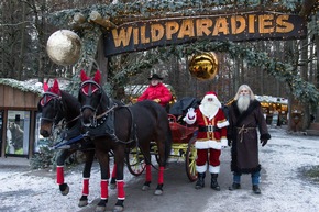 WinterWunderWald im Wildparadies Tripsdrill