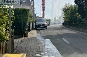 Polizeidirektion Neustadt/Weinstraße: POL-PDNW: Beschädigter Hydrant nach Verkehrsunfallflucht